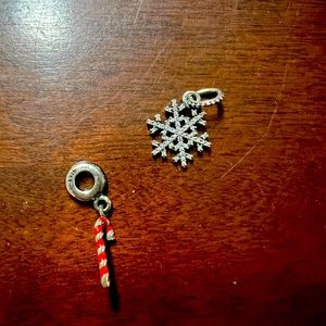 Pandora Charms